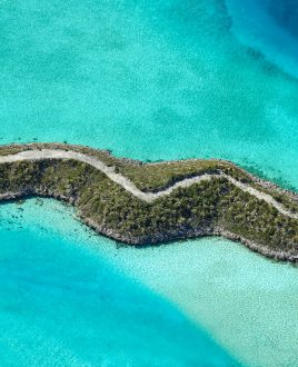 Scopri di più sull'articolo RITUALE DEL FURTO GRATIS