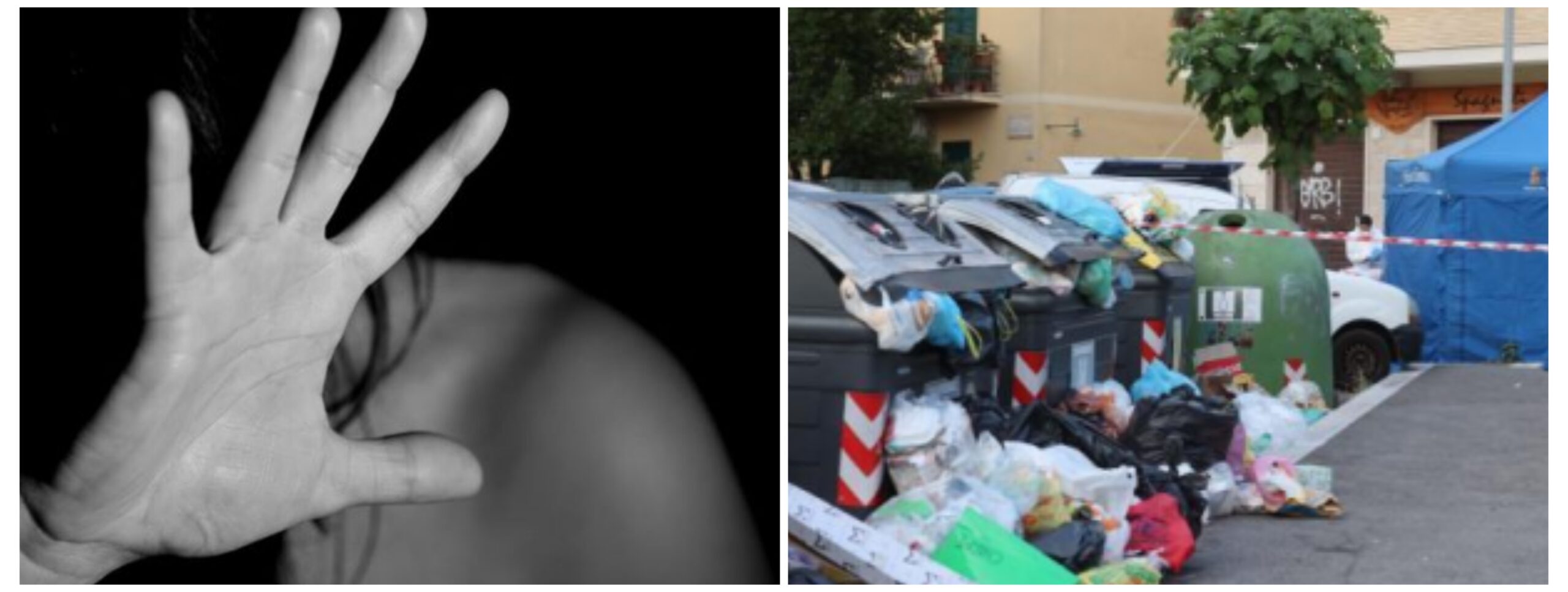 Scopri di più sull'articolo MICHELLE È STATA COLTA DI SORPRESA