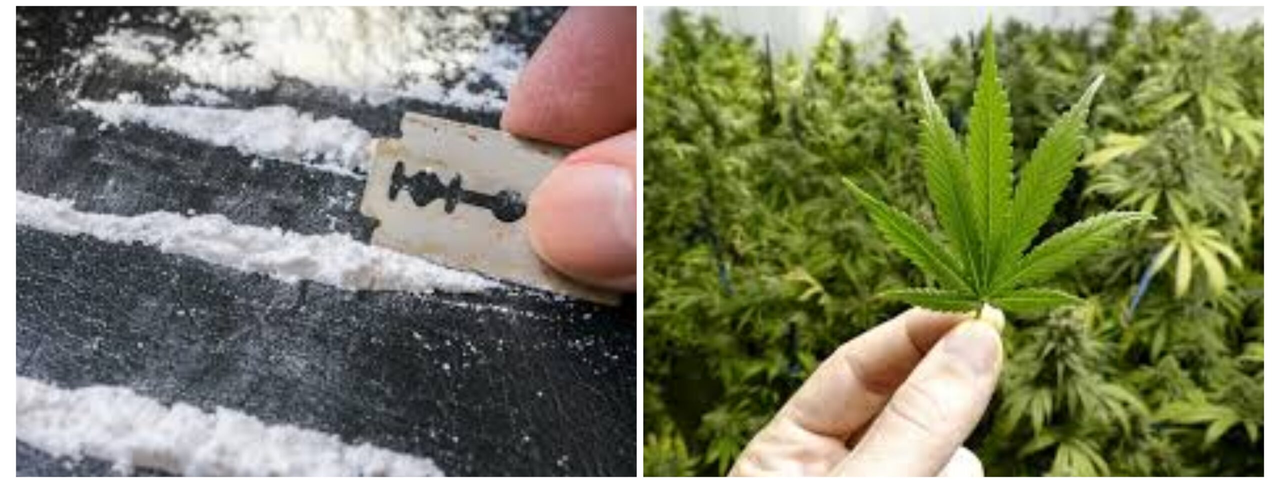Scopri di più sull'articolo LE FOGNE RIVELANO CHE IN PANDEMIA SI È CONSUMATA PIÙ DROGA