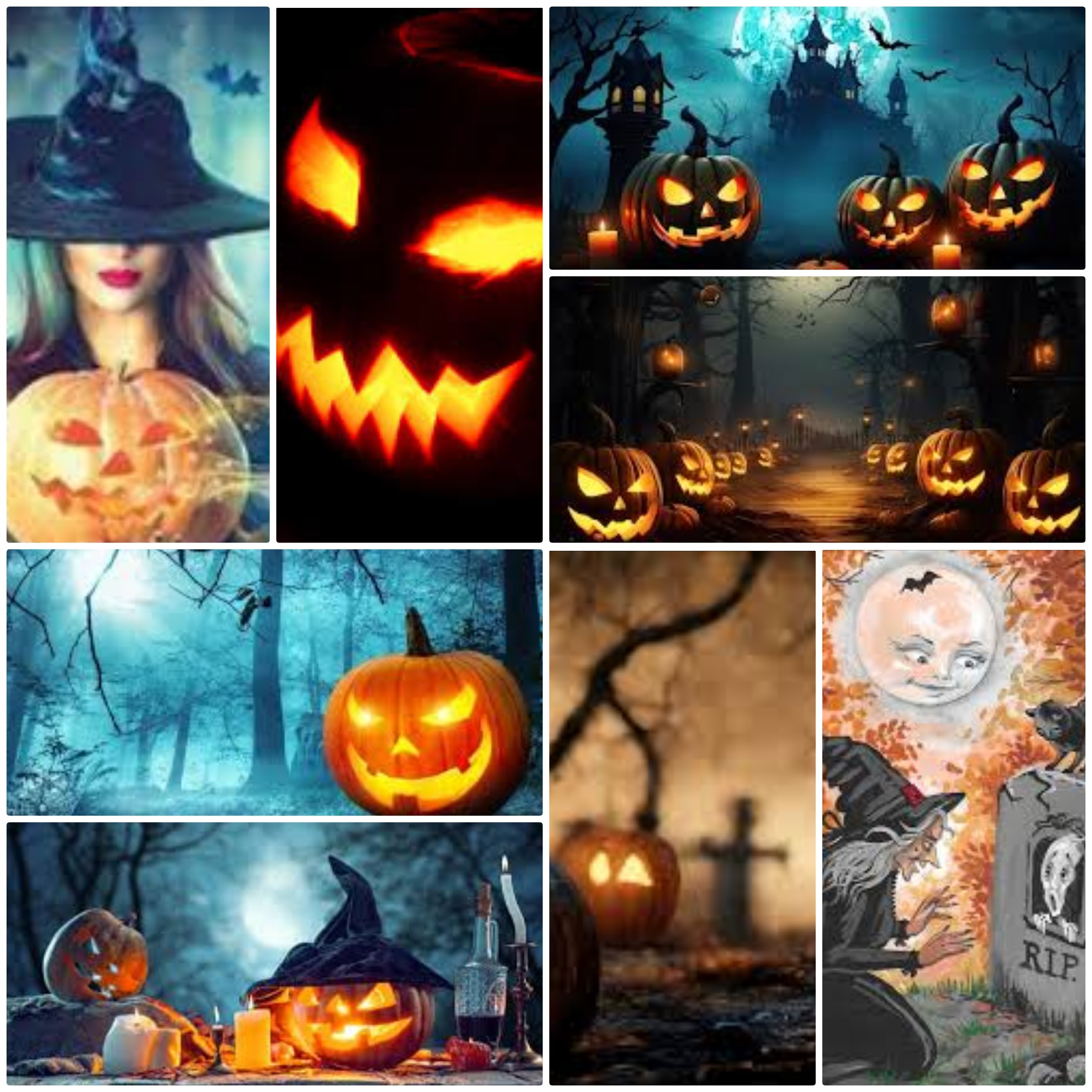 Scopri di più sull'articolo LA MAGIA DI HALLOWEEN