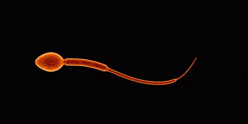 Scopri di più sull'articolo INFERTILITÀ CRESCENTE
