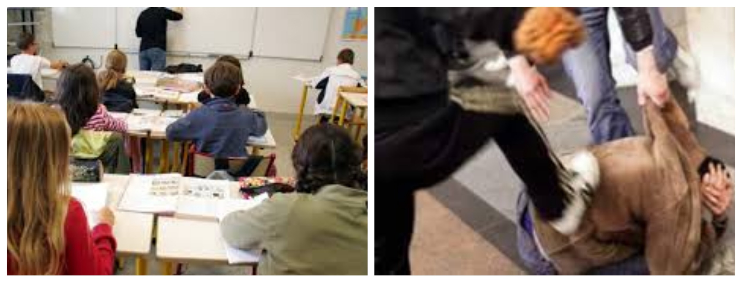 Scopri di più sull'articolo PROFESSORE PRESO A PUGNI A SCUOLA