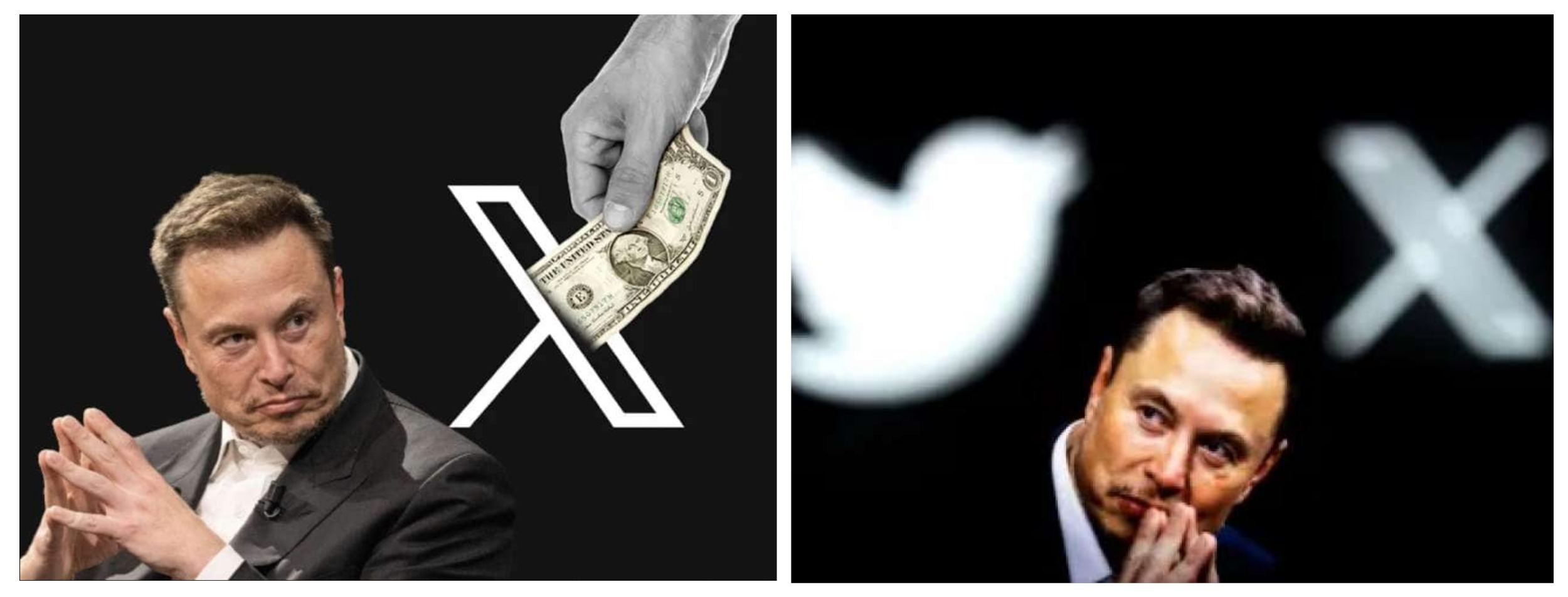 Scopri di più sull'articolo I SOCIAL NETWORK SI PAGHERANNO