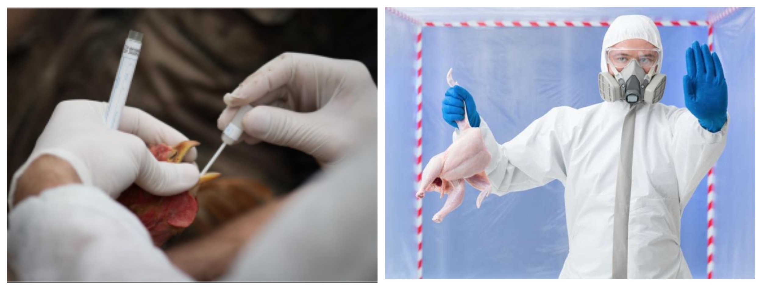 Scopri di più sull'articolo LA NUOVA PANDEMIA È SERVITA